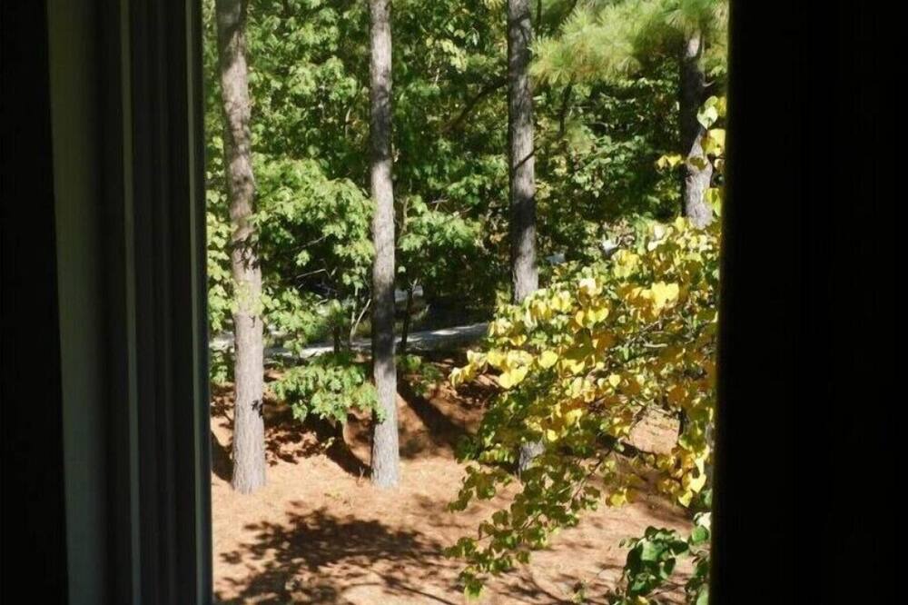 Photo of Others in West Fork