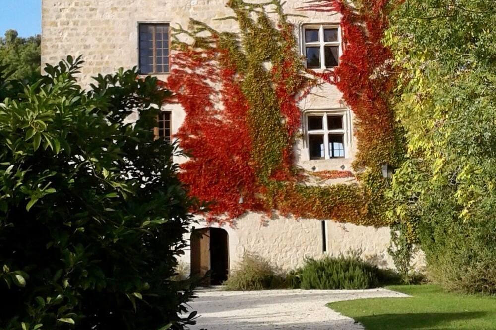 Photo of Outdoor in Gazaupouy