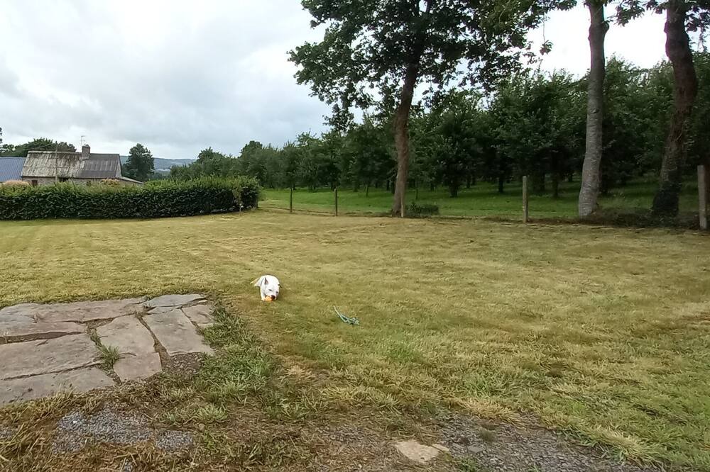 Photo of Outdoor in Saint-Pois