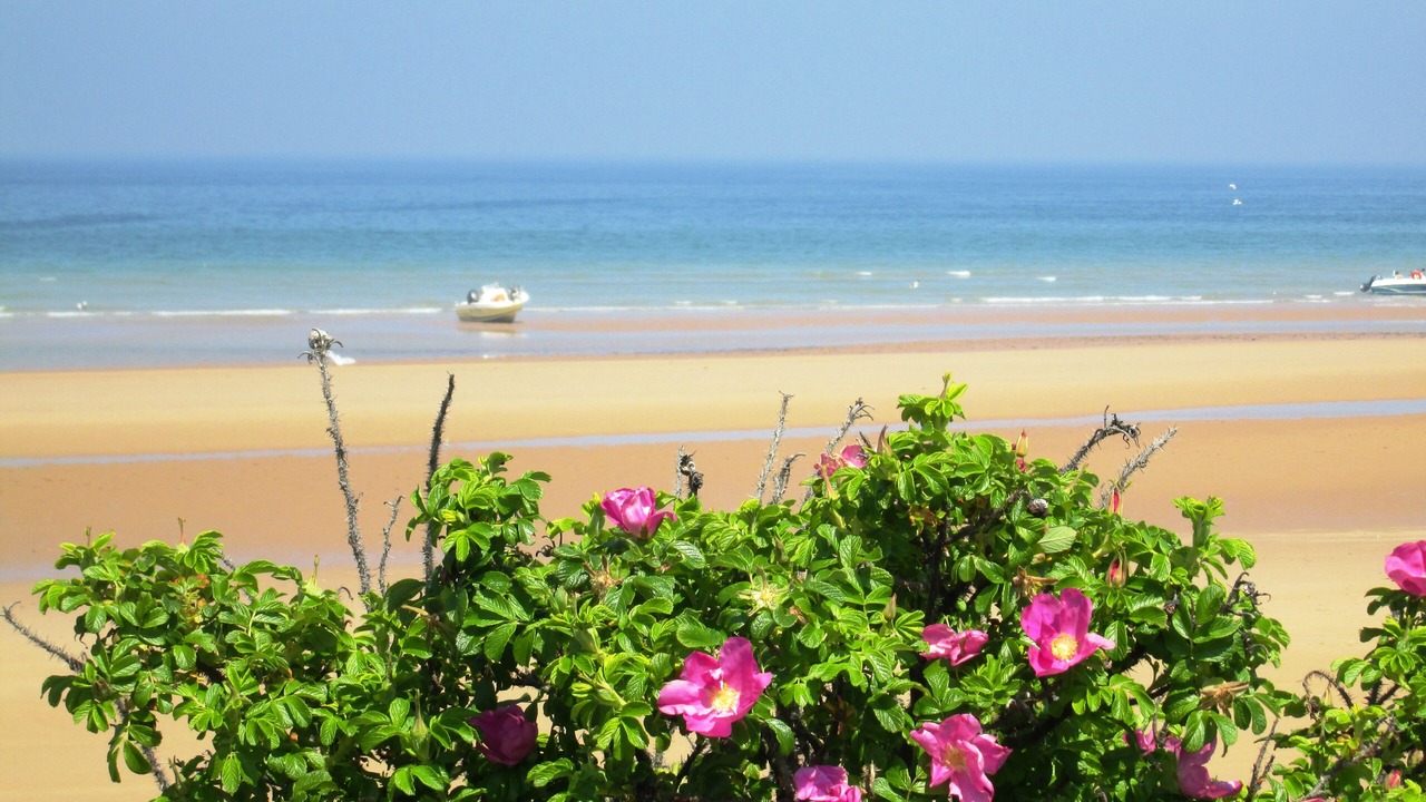 Photo of Outdoor in Saint-Laurent-sur-Mer