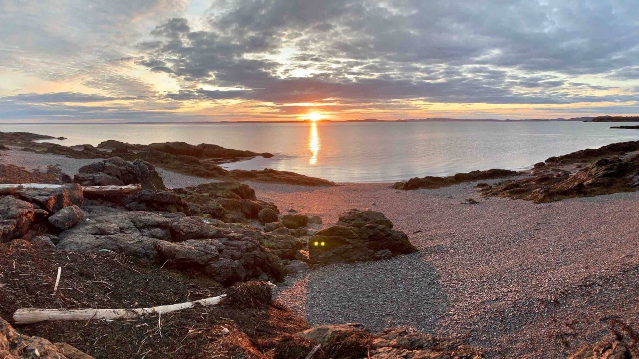 Photo of Others in Canal
