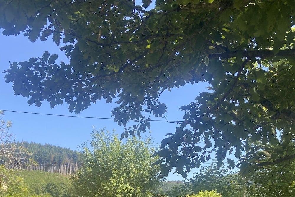 Photo of Outdoor in Propieres