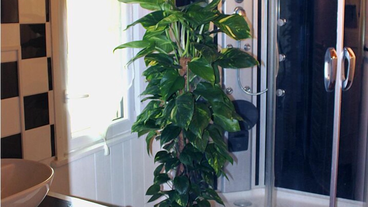 Photo of Bathroom in Lamonzie-Montastruc