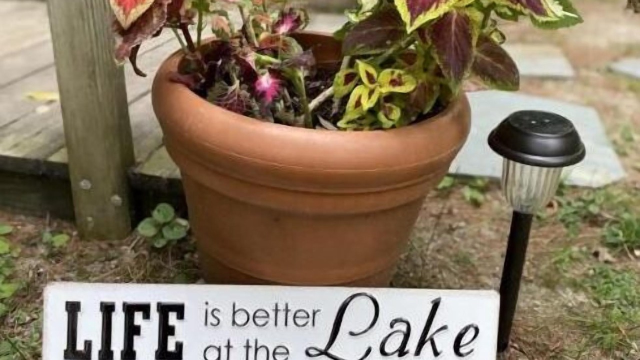 Photo of Others in Vergennes