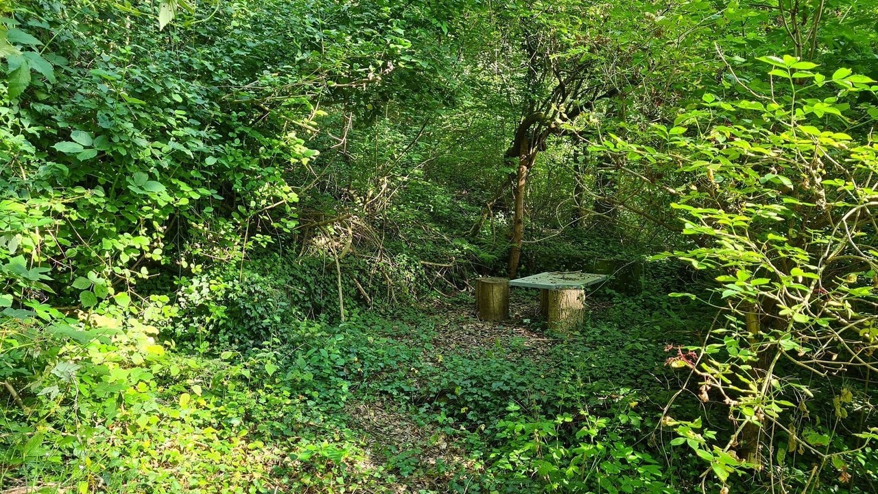 Photo of Outdoor in Kradolf-Schonenberg
