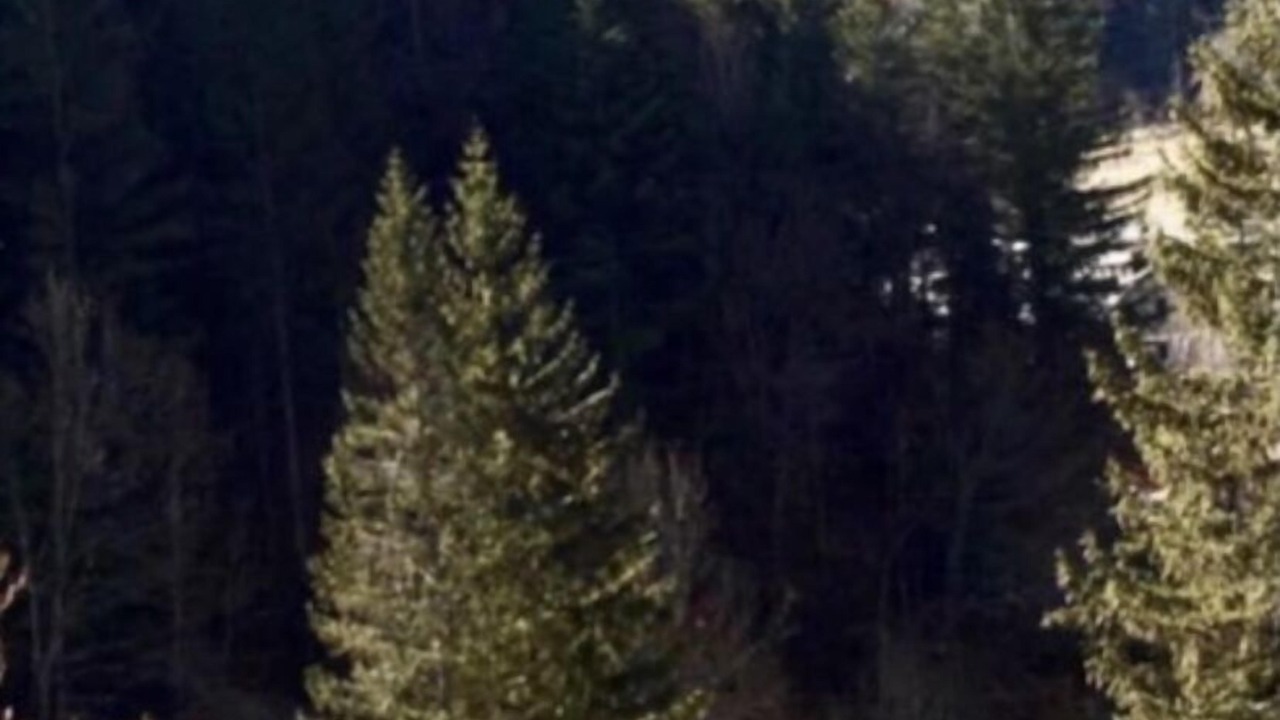 Photo of Outdoor in Saint-Pierre-de-Chartreuse