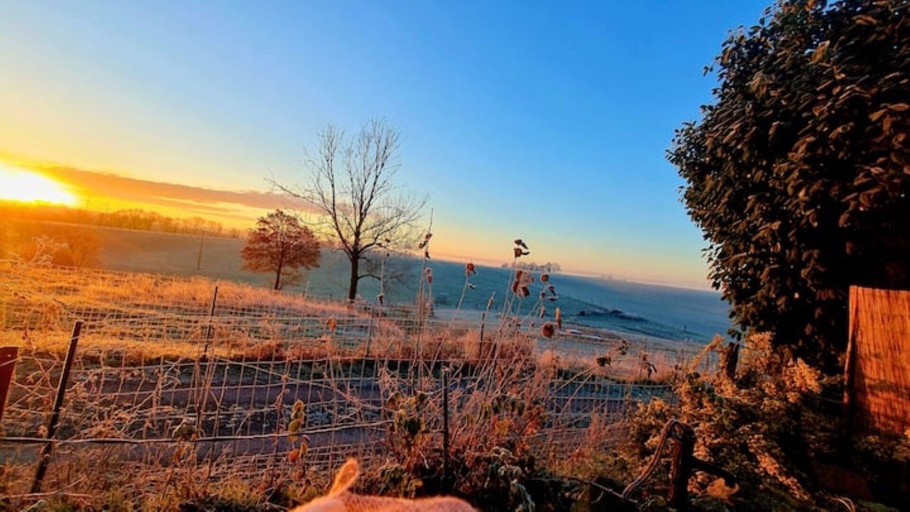 Photo of Outdoor in Boffles
