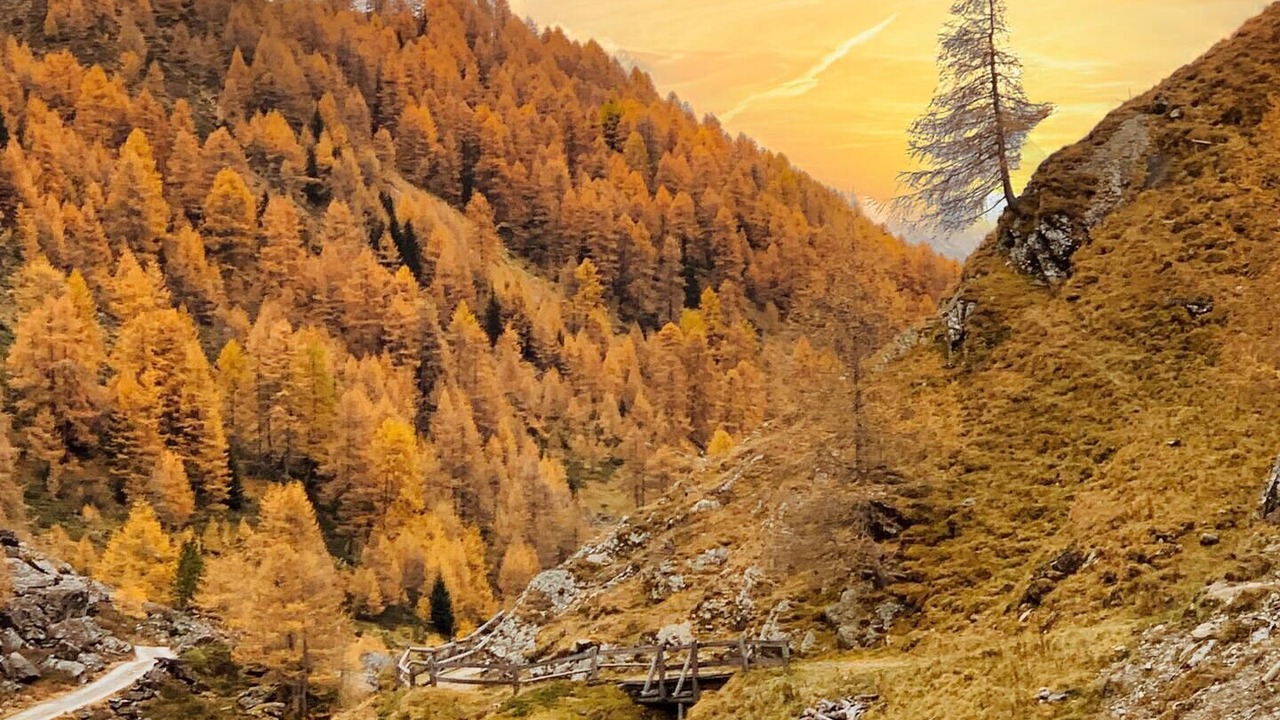 Photo of Others in Ardez