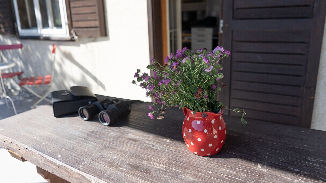 Photo of Outdoor in Wildhaus-Alt St. Johann