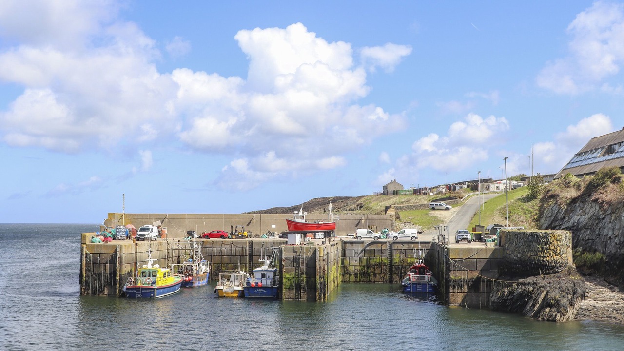 Photo of Others in Cemaes Bay