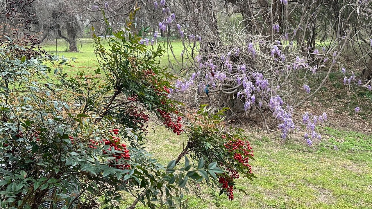Photo of Outdoor in Rosston