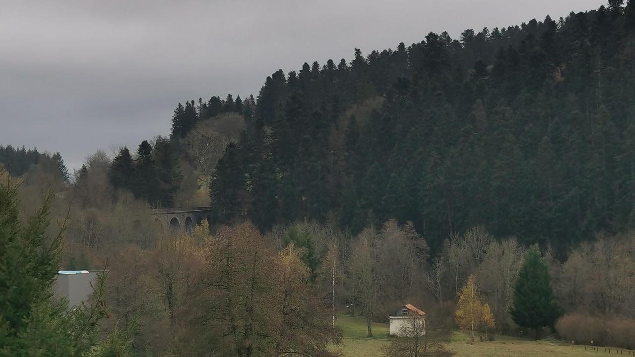 Photo of Others in La Seauve-sur-Semene