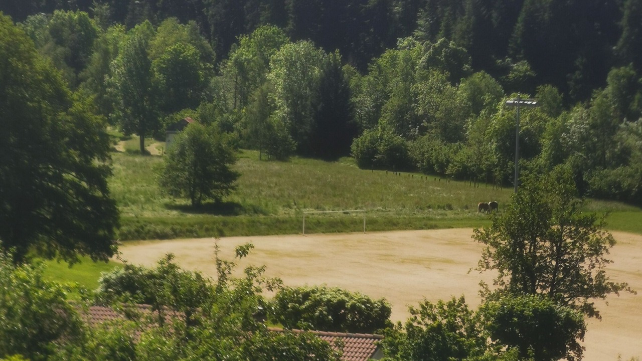 Photo of Others in La Seauve-sur-Semene
