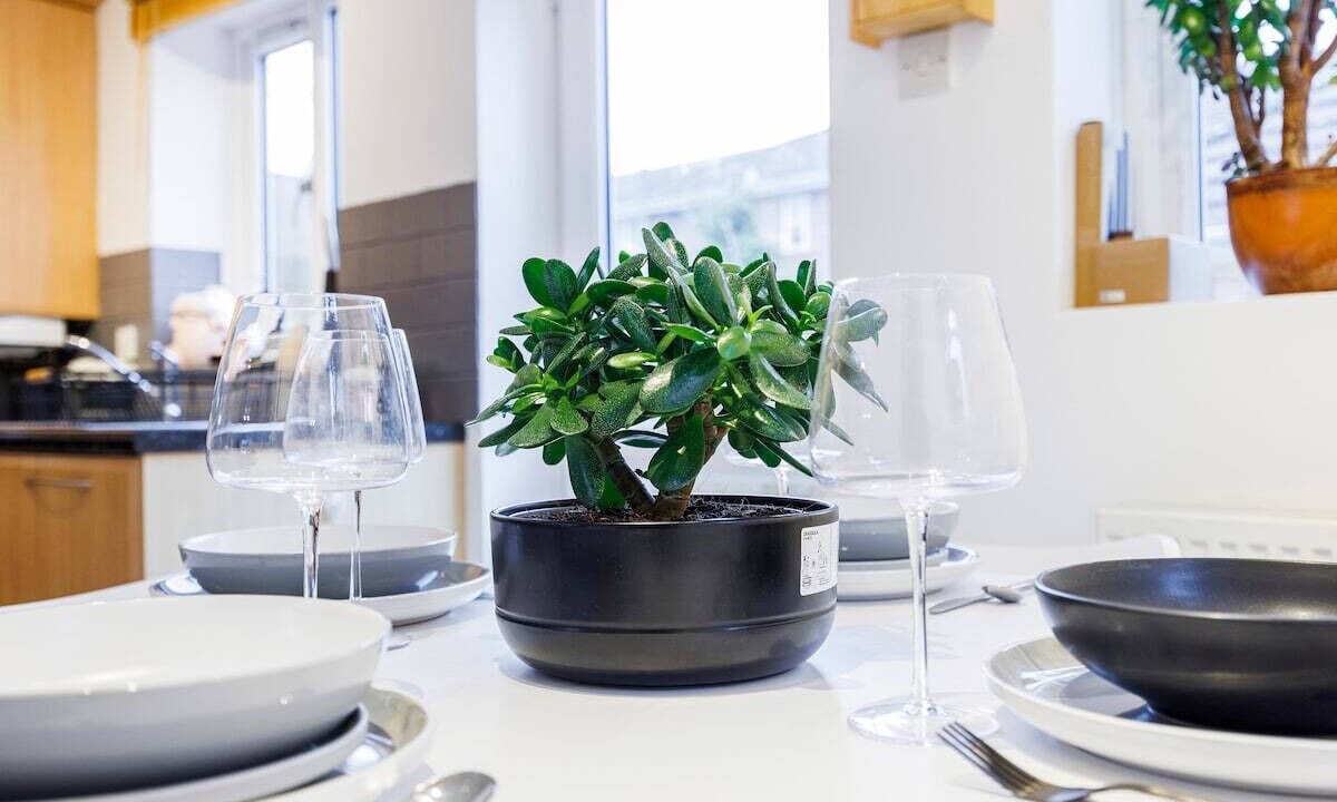 Photo of Kitchen in Newham