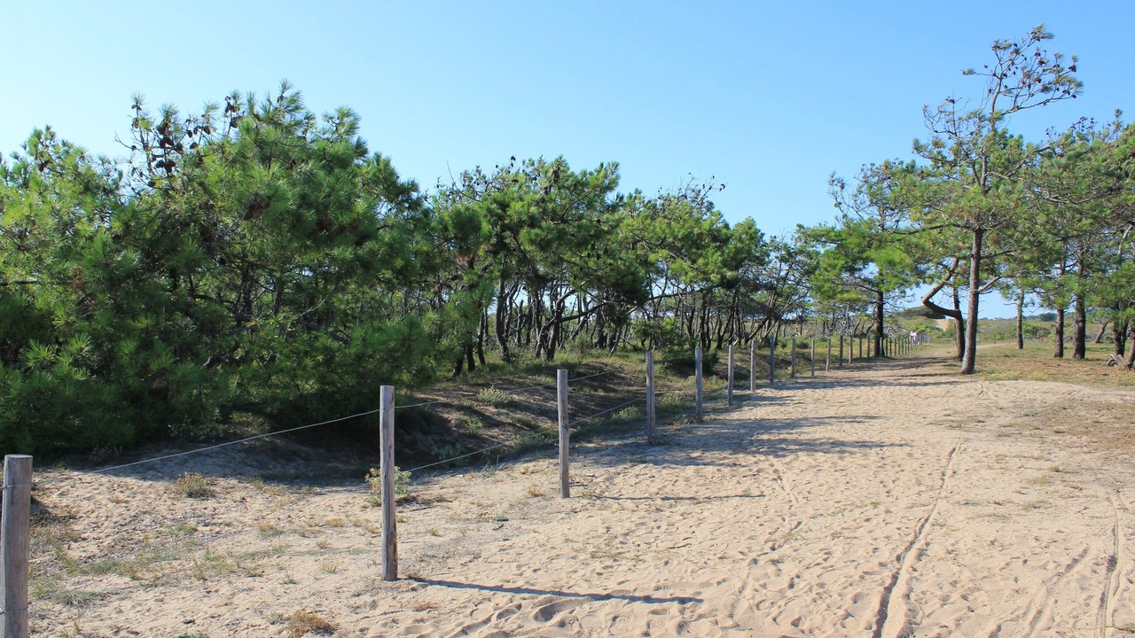 Photo of Others in Brem Sur Mer