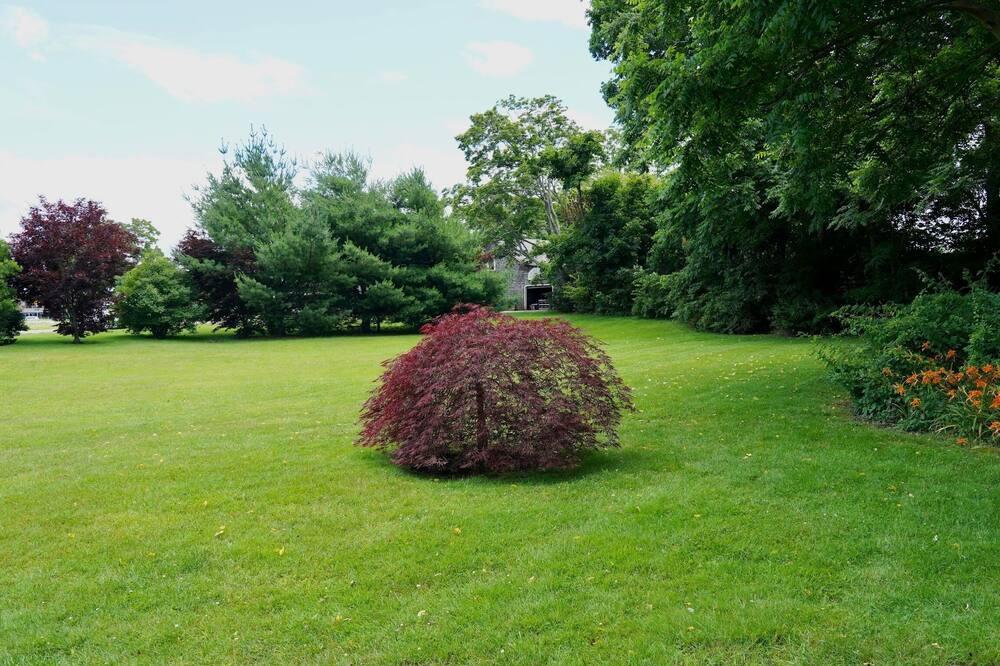 Photo of Outdoor in Barrington