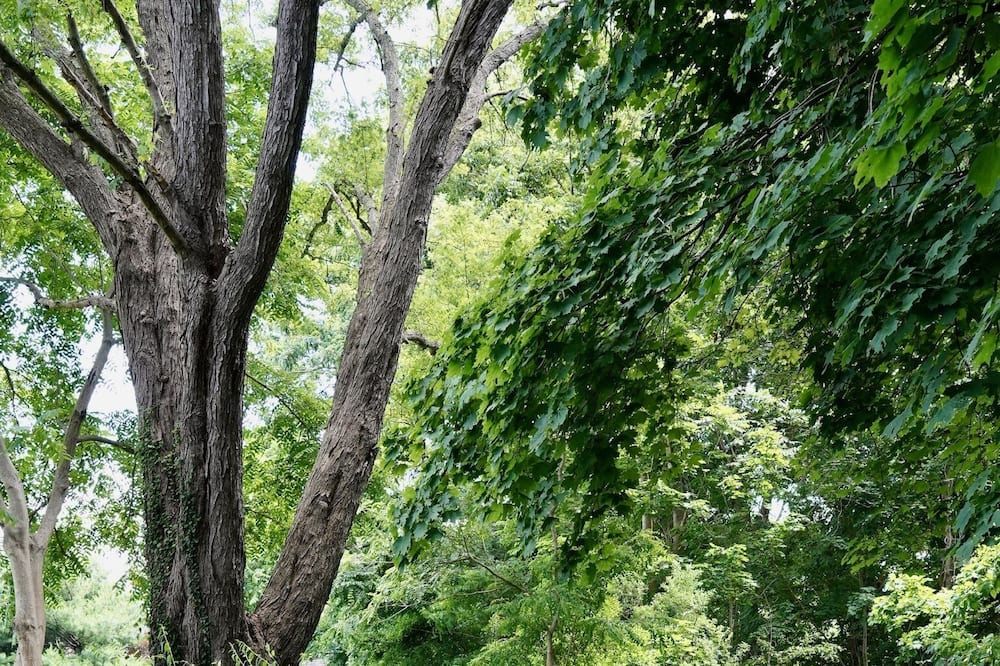 Photo of Outdoor in Barrington