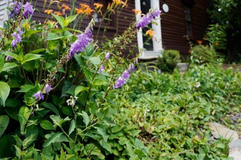 Photo of Outdoor in Barrington