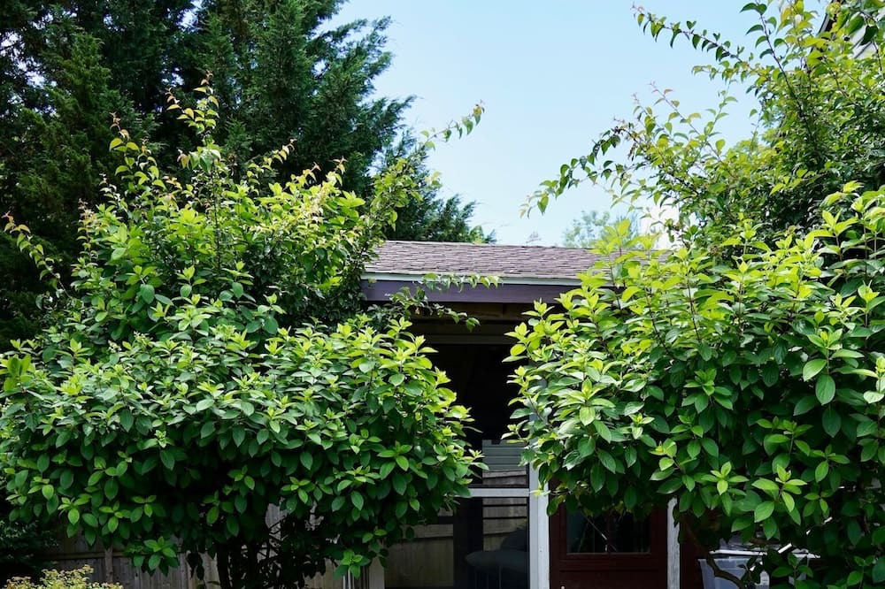 Photo of Outdoor in Barrington