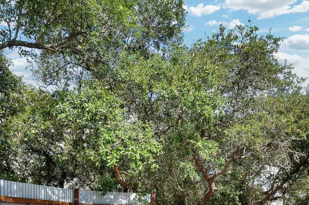 Photo of Outdoor in Hondo