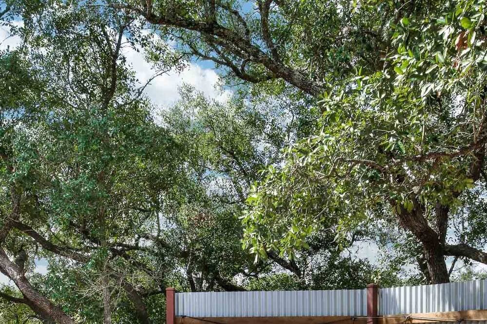 Photo of Outdoor in Hondo
