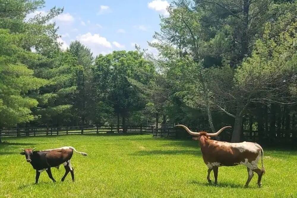 Photo of Outdoor in Leesburg