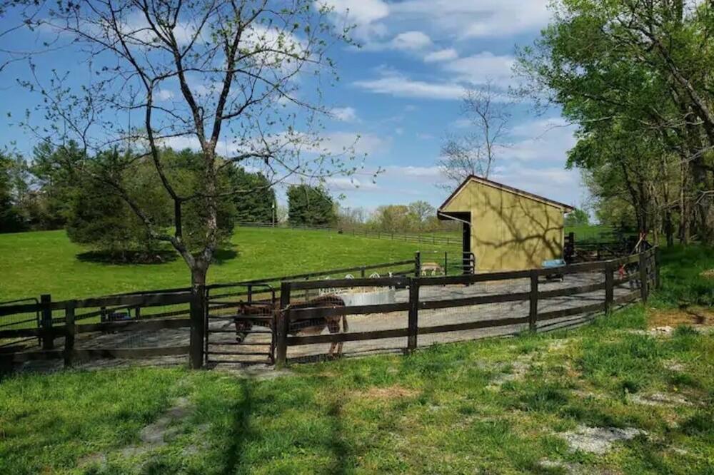 Photo of Outdoor in Leesburg