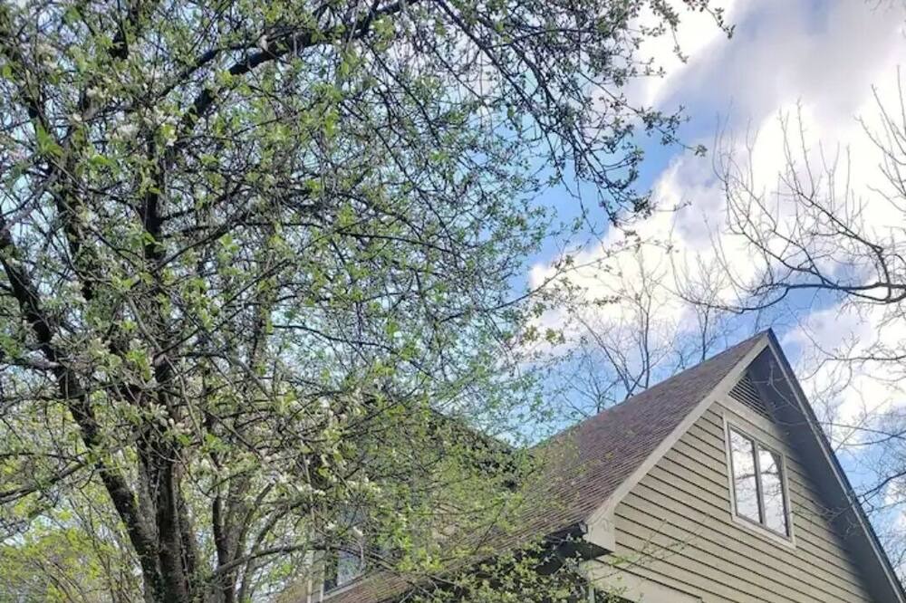 Photo of Outdoor in Leesburg
