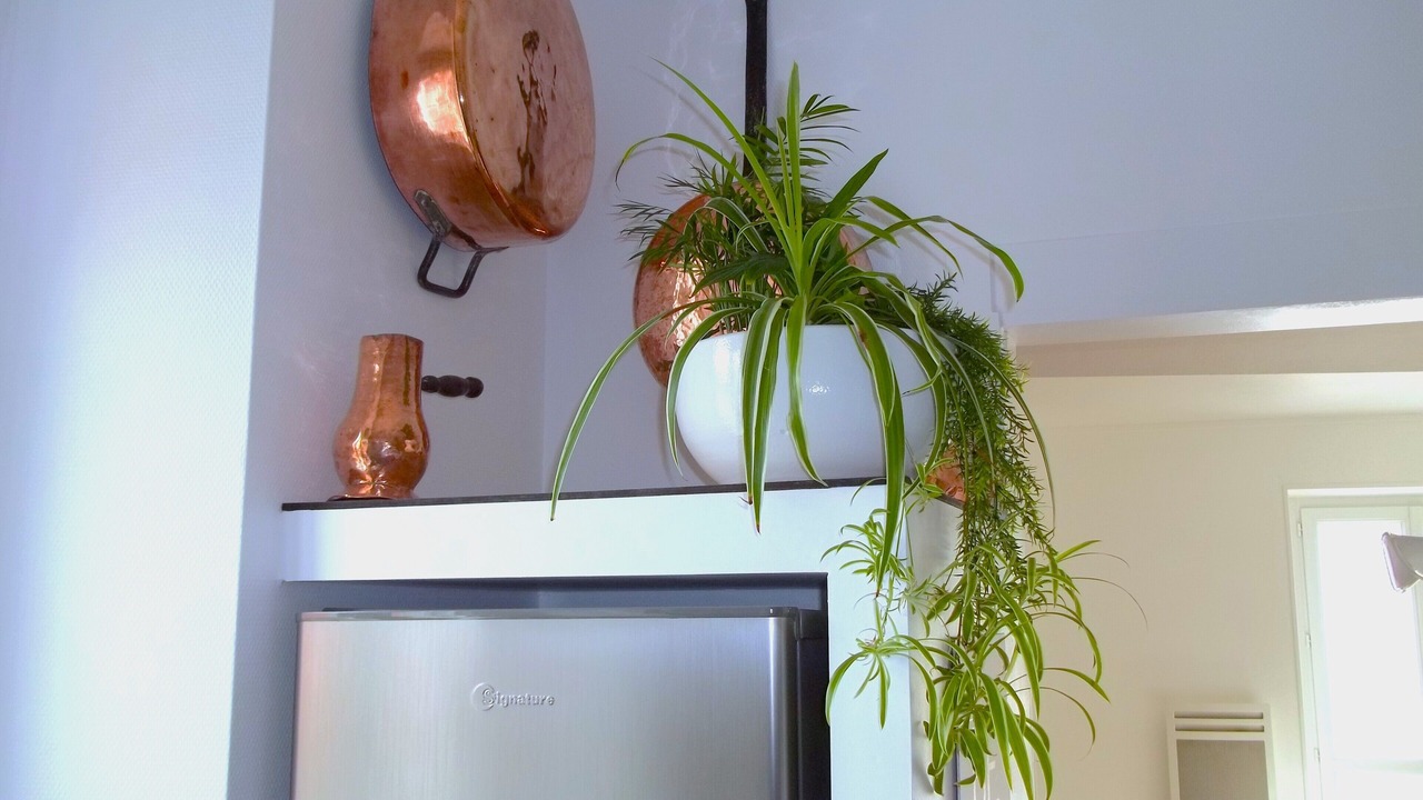 Photo of Others in Laruns