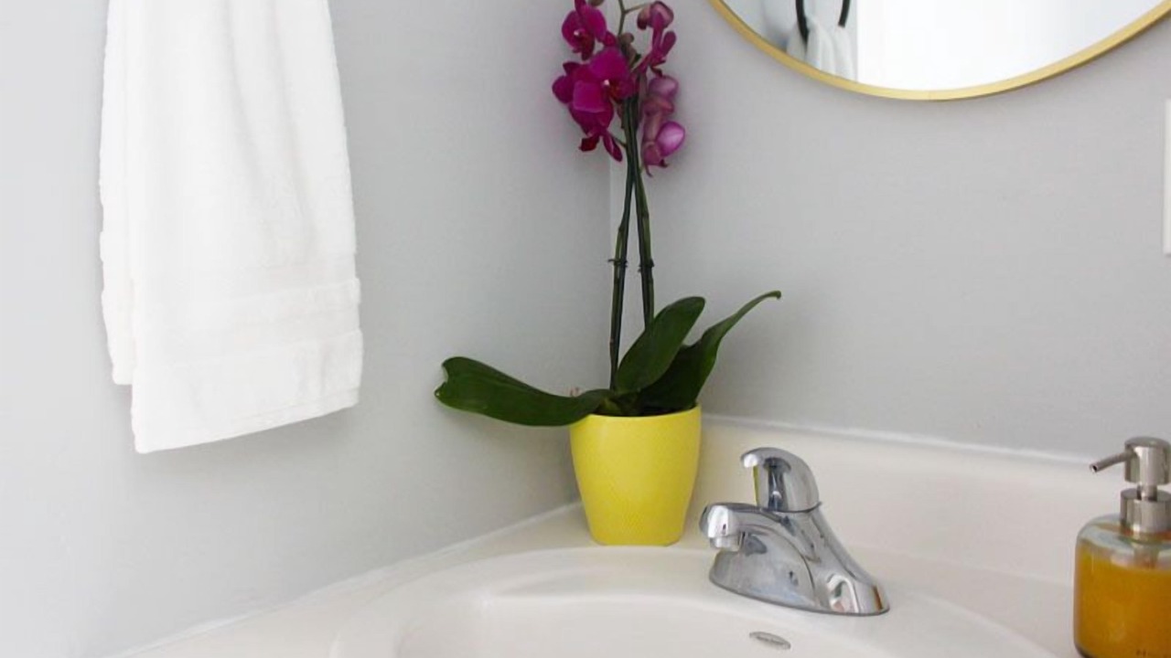 Photo of Others in Frenchtown