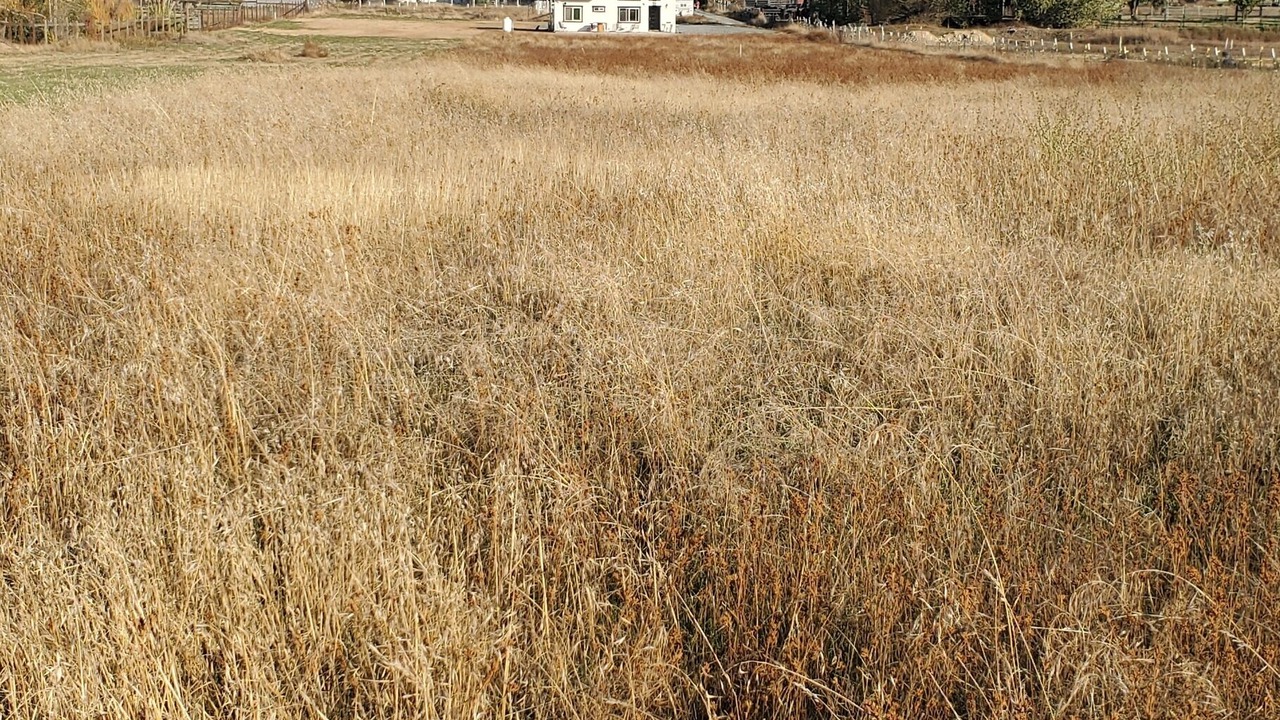 Photo of Others in Pleasant Grove