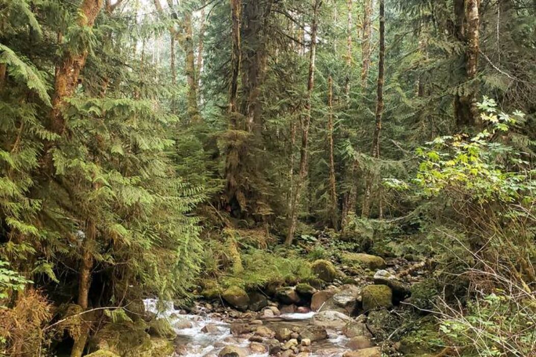 Photo of Outdoor in Marblemount