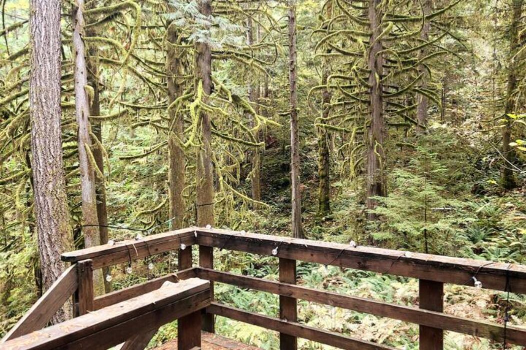 Photo of Outdoor in Marblemount