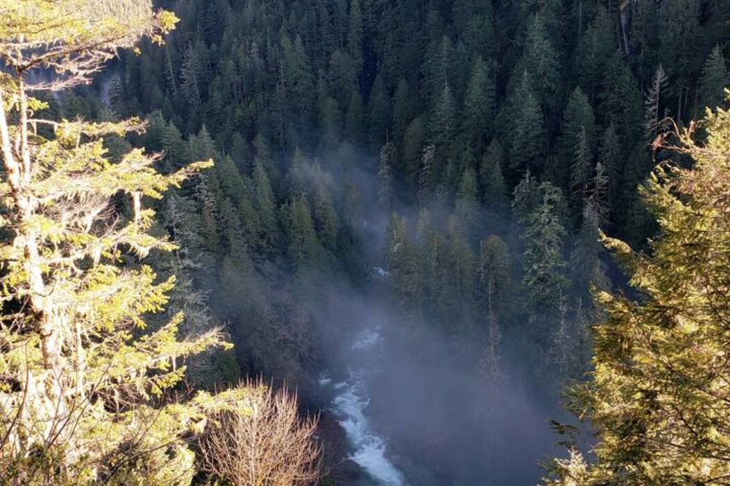 Photo of Others in Marblemount