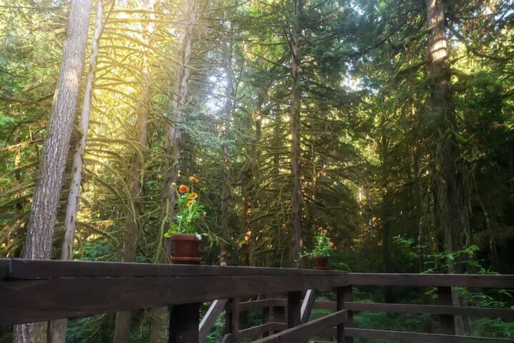 Photo of Outdoor in Marblemount