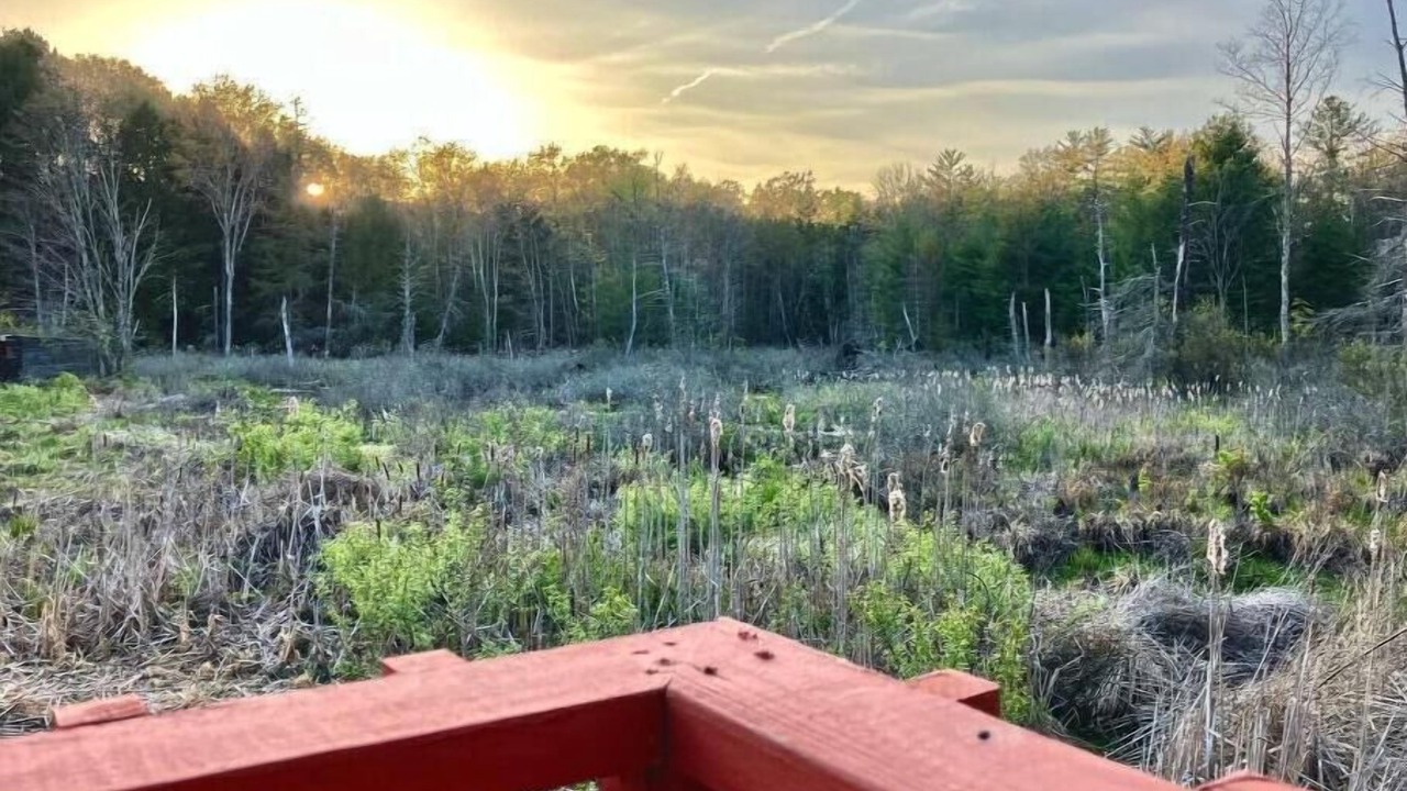 Photo of Outdoor in Colliersville