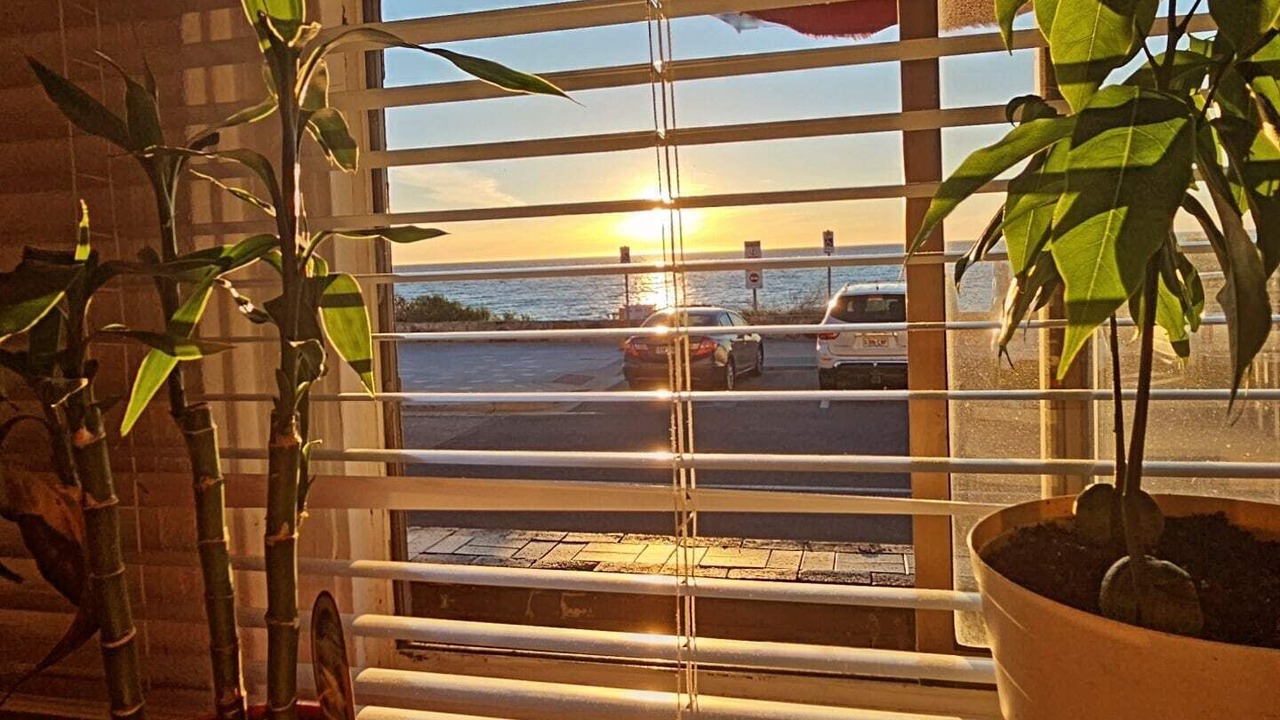 Photo of Others in Henley Beach