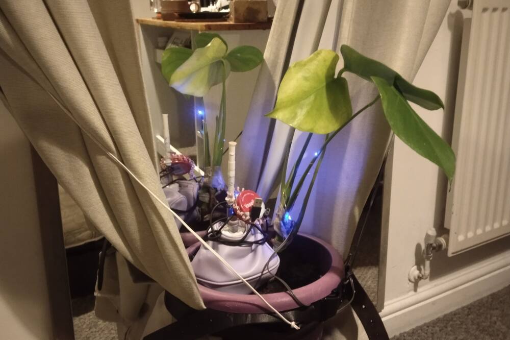 Photo of Bedroom in Preston