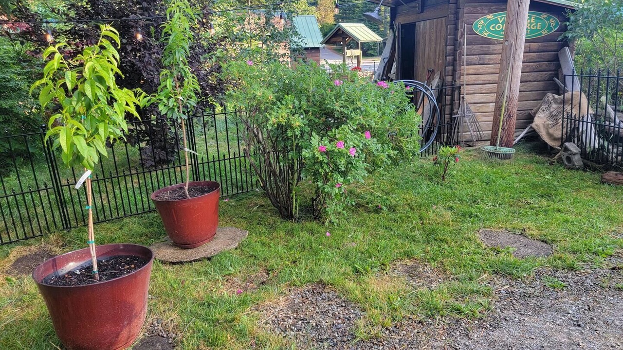 Photo of Outdoor in Bayview