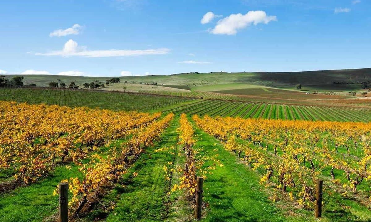 Photo of Others in Clare