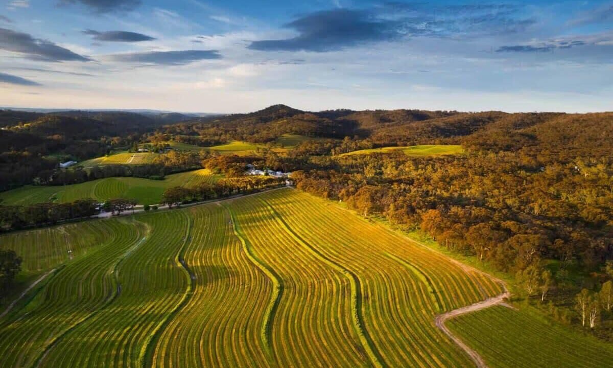 Photo of Others in Clare