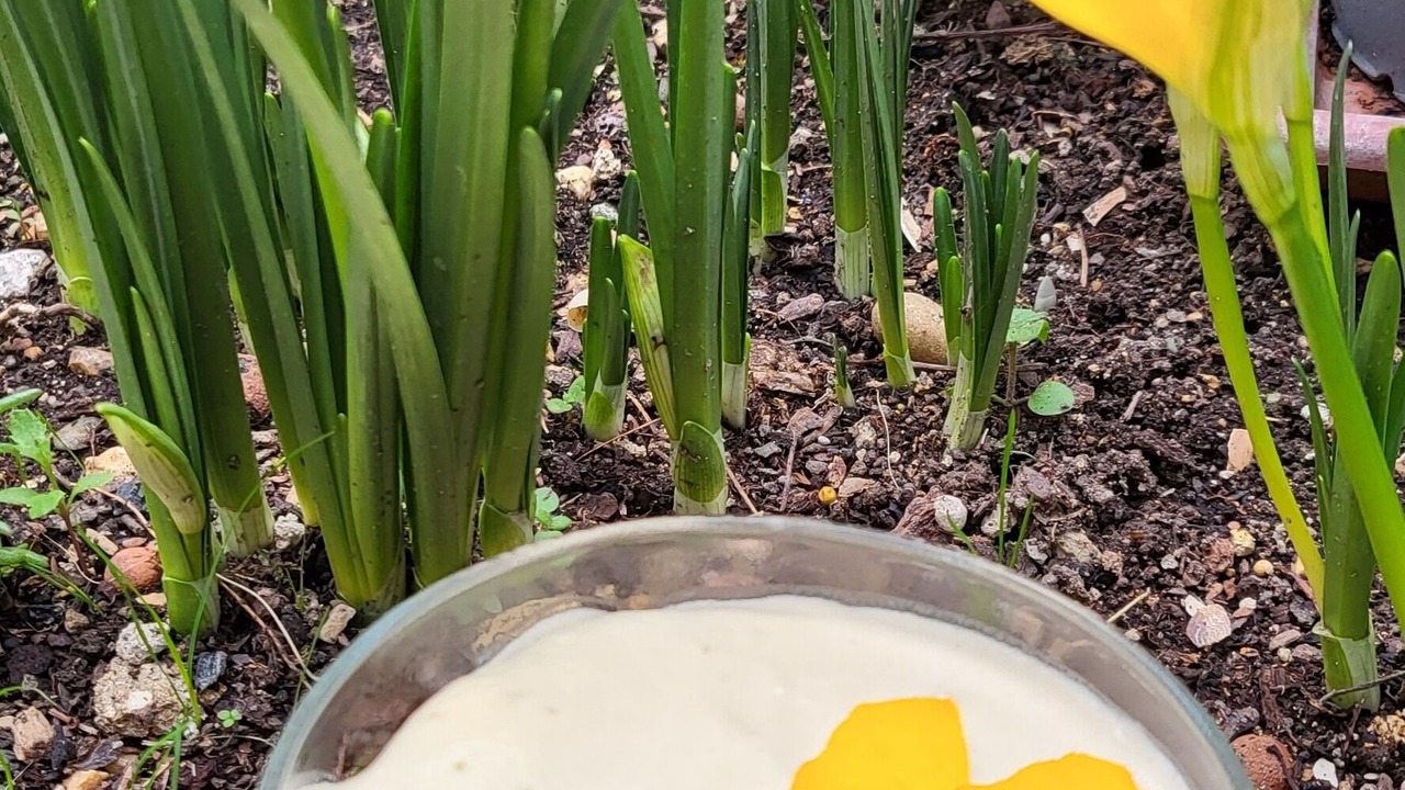 Photo of Others in Saint-Victor-de-Malcap