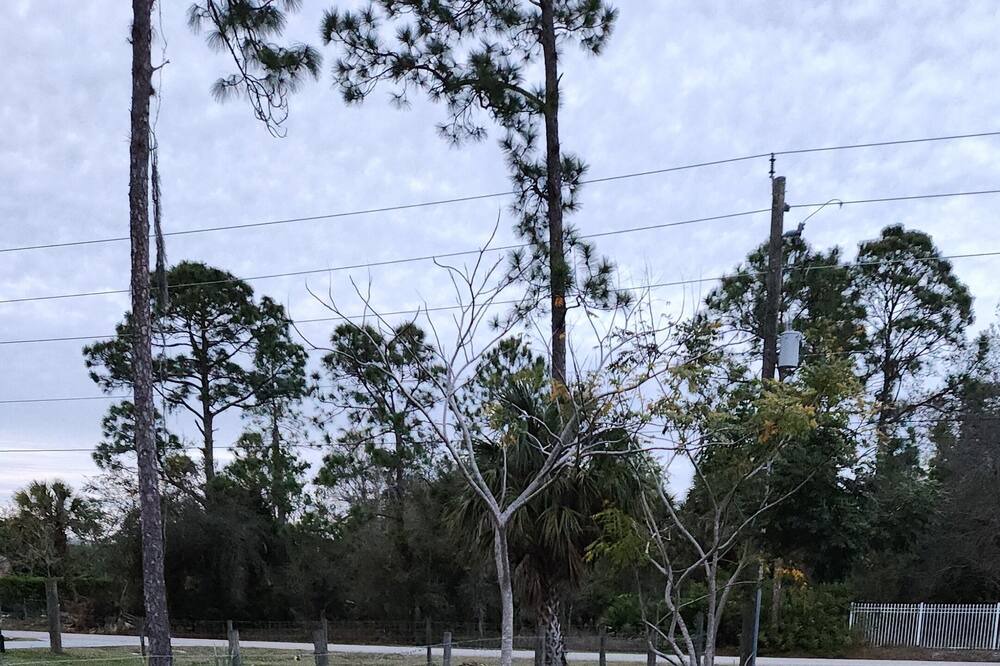 Photo of Outdoor in Rural Estates