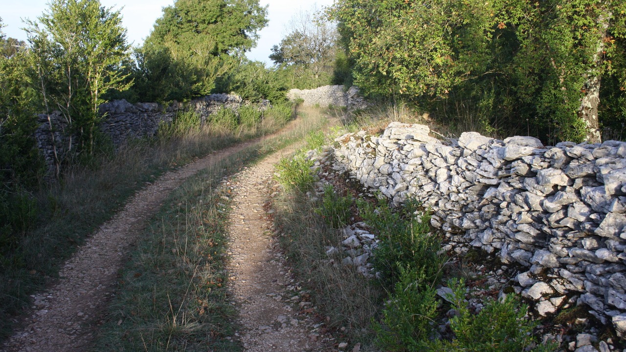 Photo of Outdoor in Saint-Chels