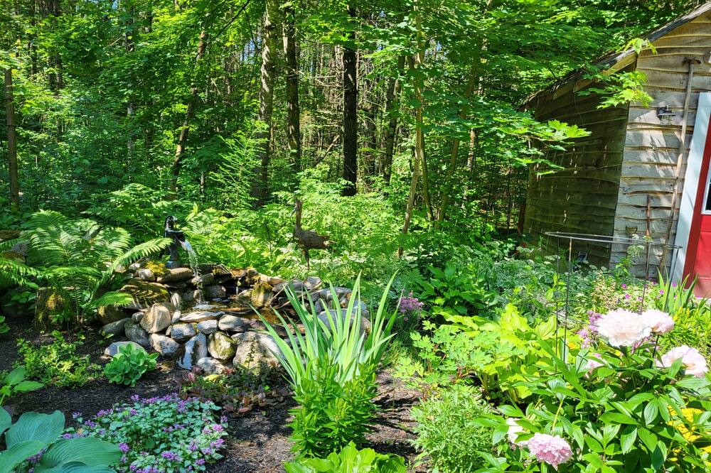 Photo of Outdoor in Havelock-Belmont-Methuen