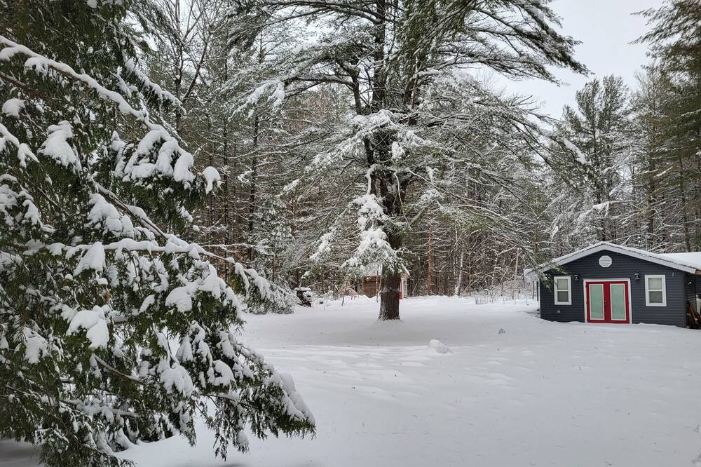 Photo of Others in Havelock-Belmont-Methuen