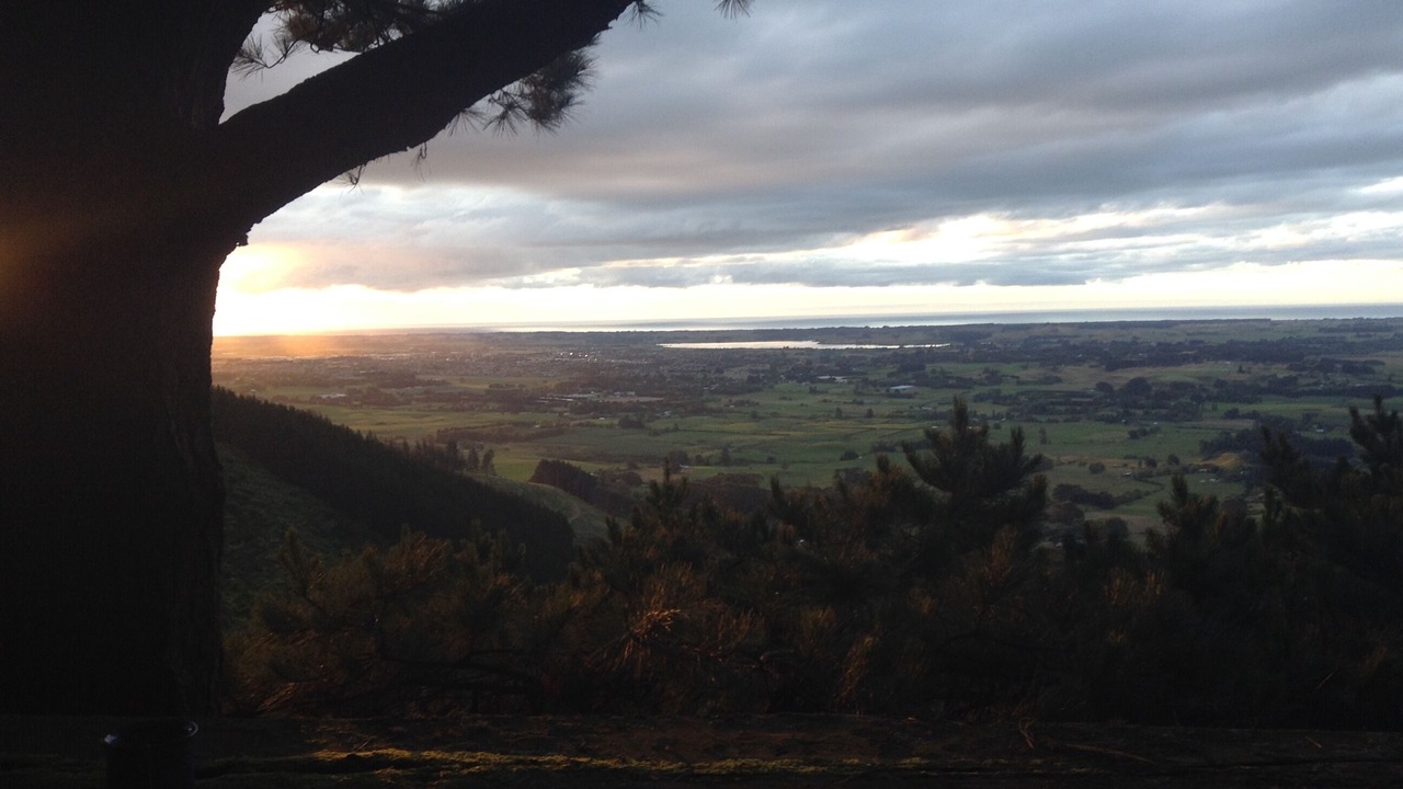 Photo of Outdoor in Koputaroa