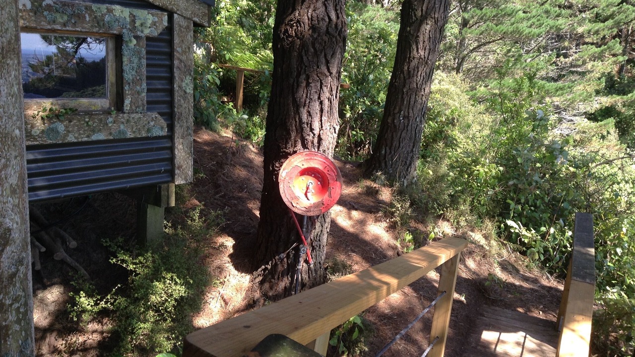 Photo of Outdoor in Koputaroa