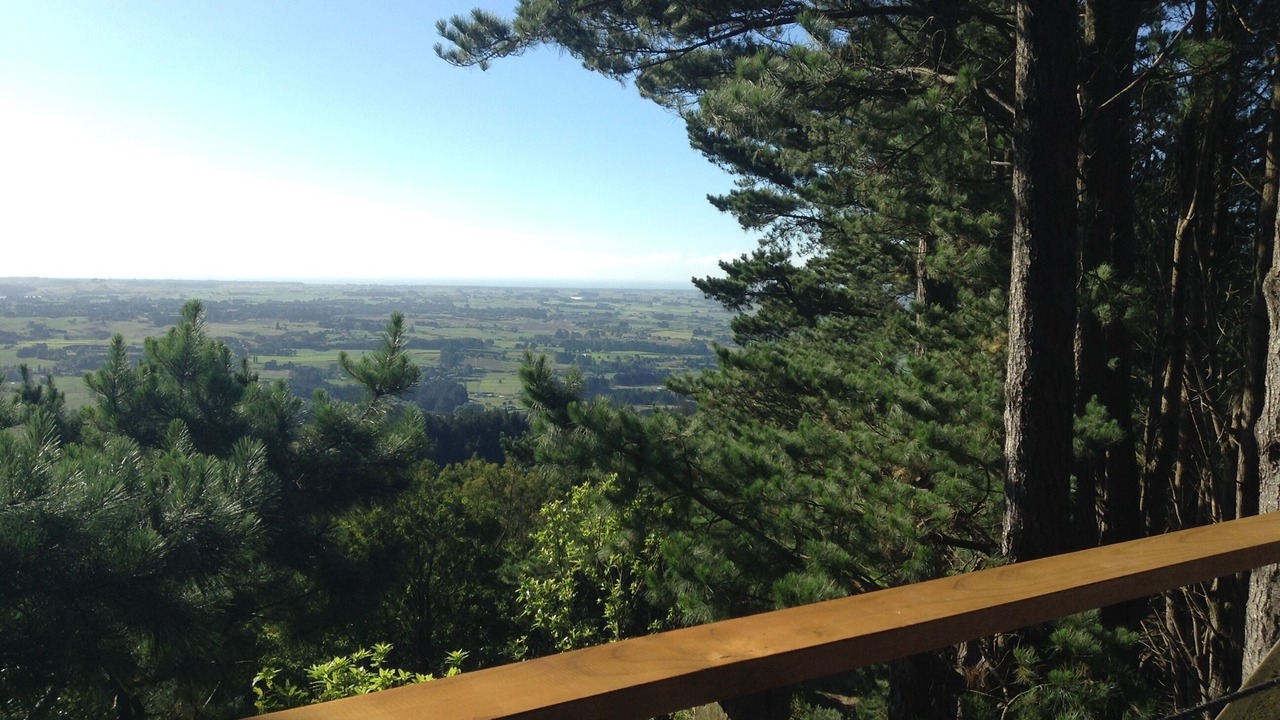 Photo of Others in Koputaroa