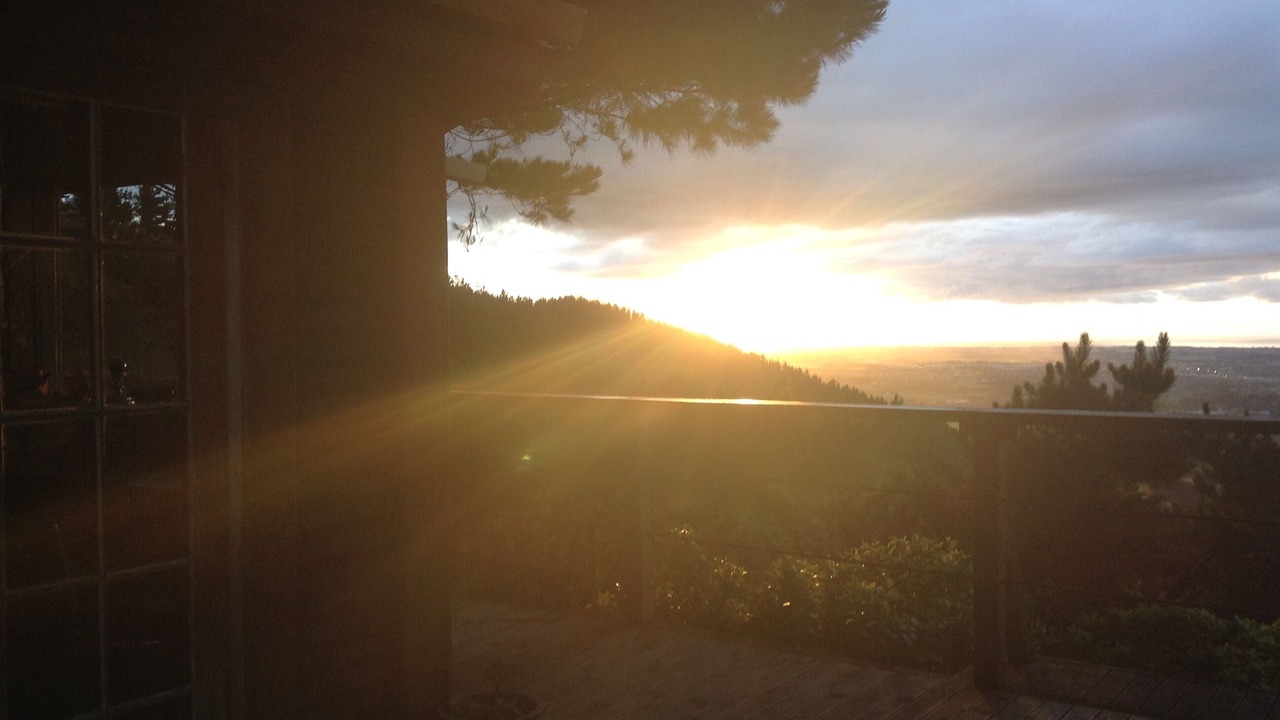 Photo of Others in Koputaroa